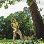STIHL HTA 135