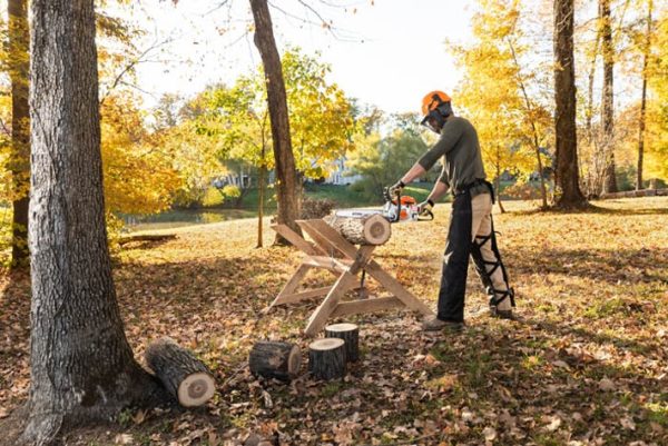 STIHL MS 171