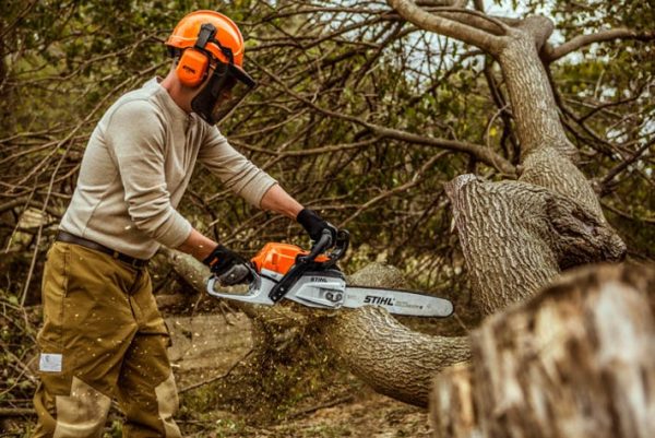 STIHL MS 261 C-M