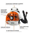 STIHL BR 350