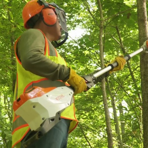 STIHL HTA 150