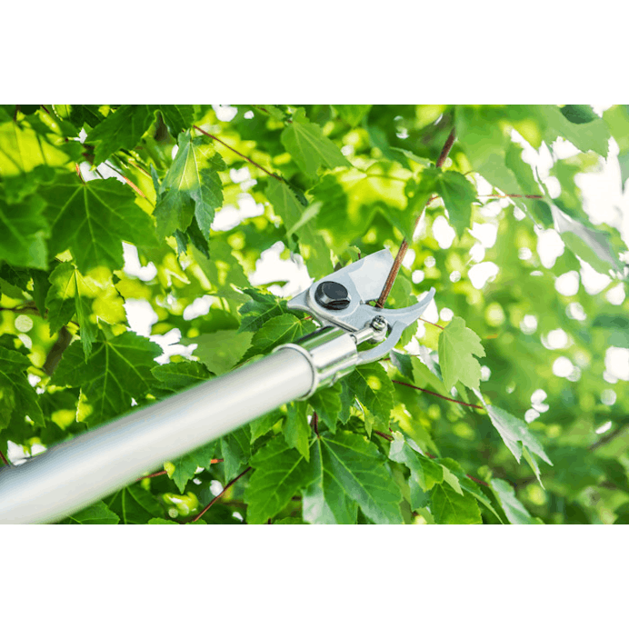 STIHL PP 101 Long Reach Pruner