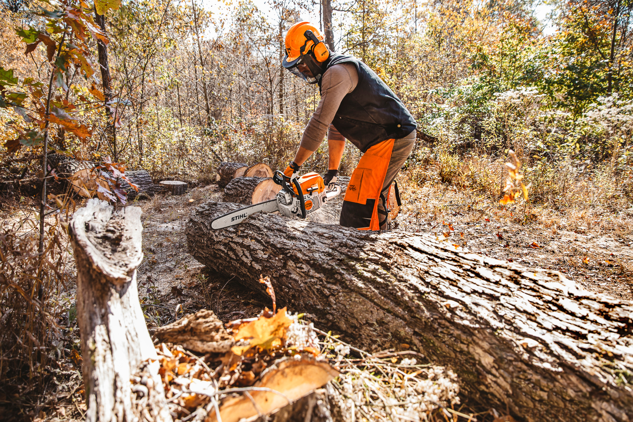 STIHL MS 391 Gasoline Chainsaw